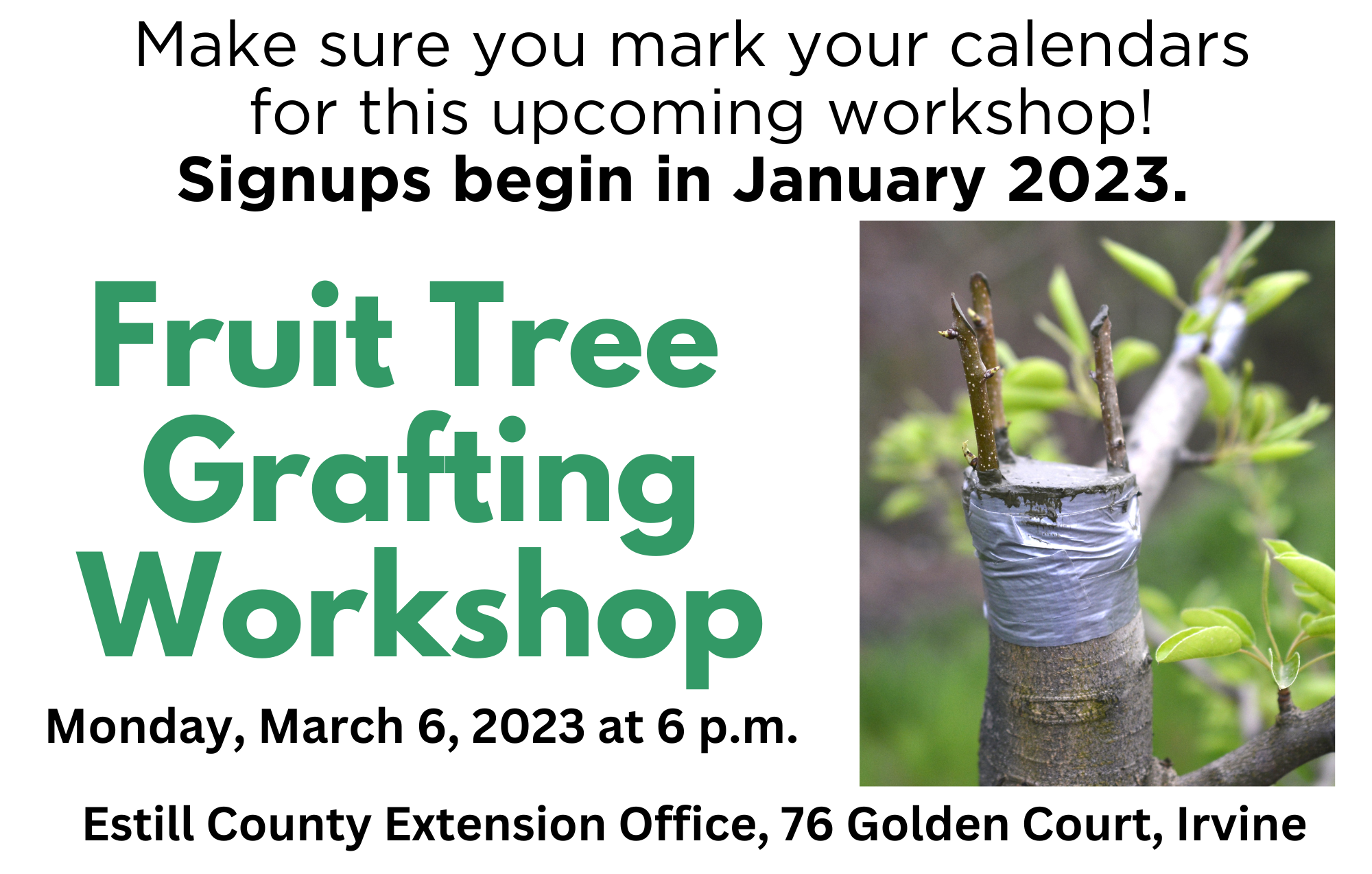 Flyer with details on Fruit Tree Grafting Workshop that will be held March 6, 2023