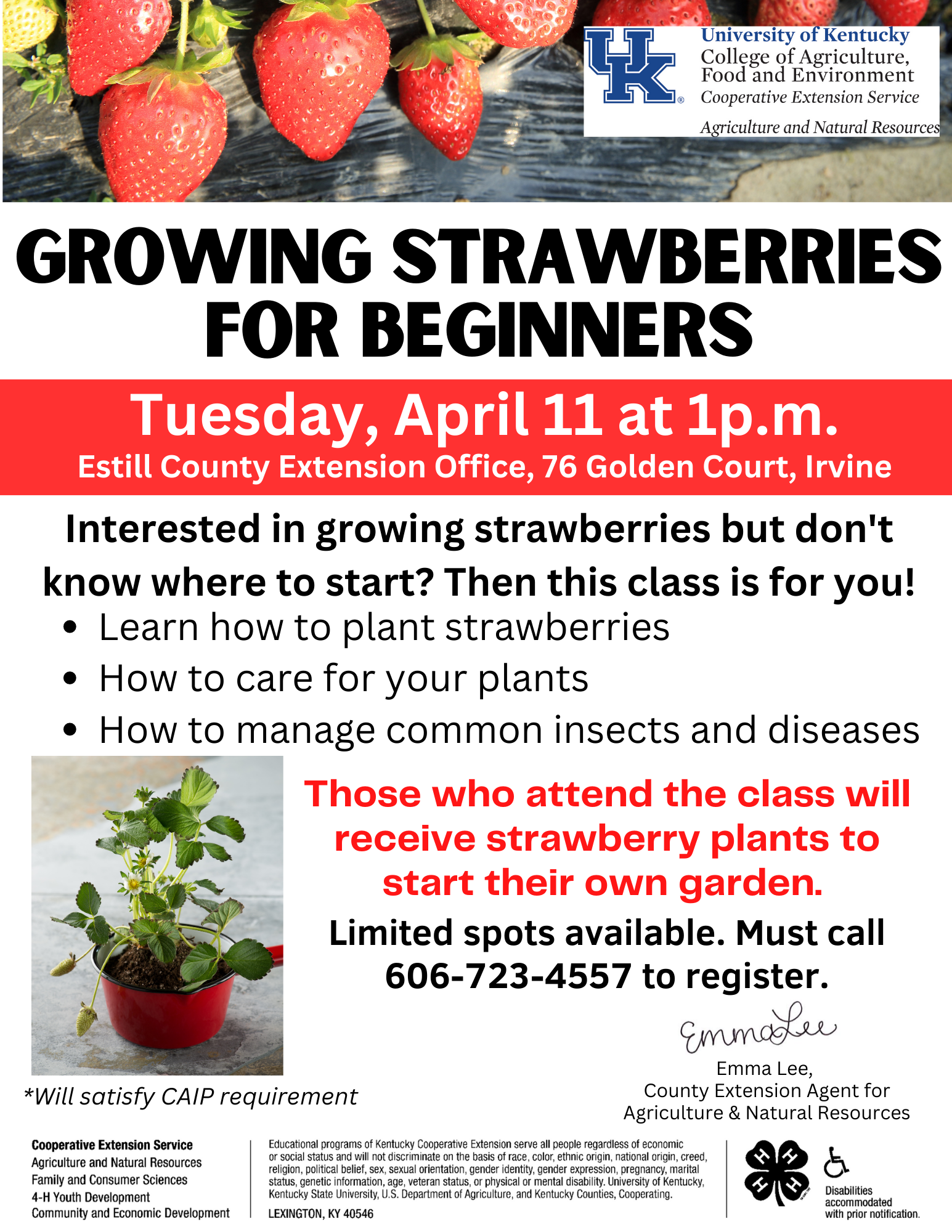 Growing Strawberries for Beginners Class Tuesday, April 11 at 1p.m. at the Estill County Extension Office