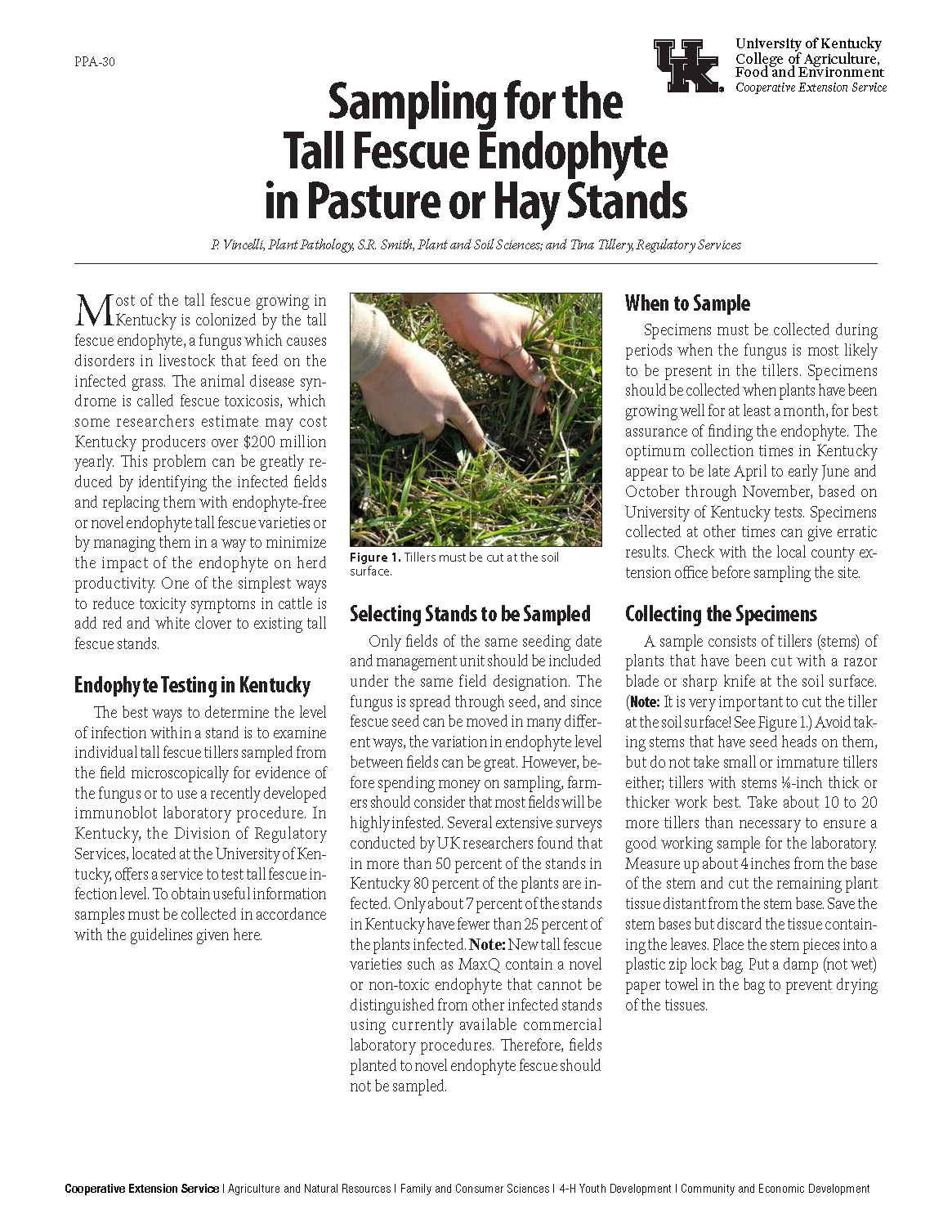 Sampling for Tall Fescue Endophyte in Pasture or Hay Stands publication page 1