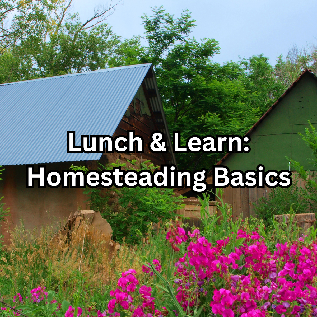 Barns in background with blooming spring flowers in the front. 