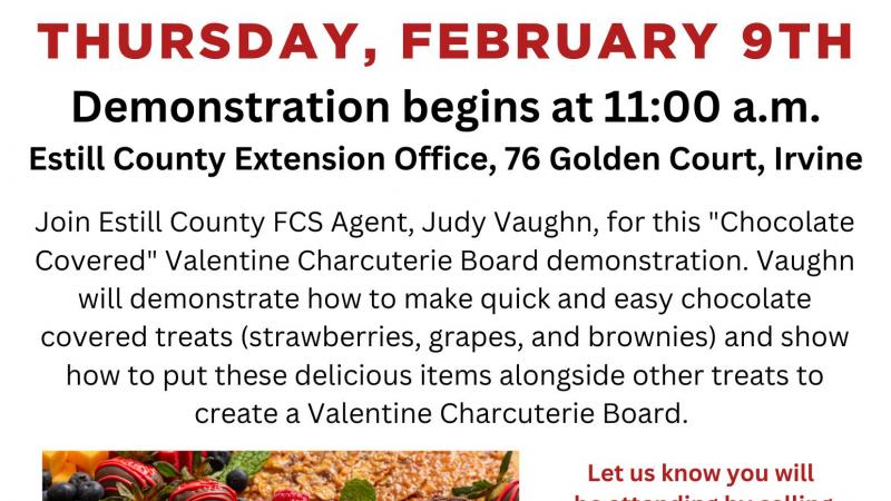 Valentine Charcuterie Board Demonstration Flyer