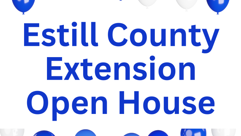 Blue and white balloons with text that says Estill County Extension Open House