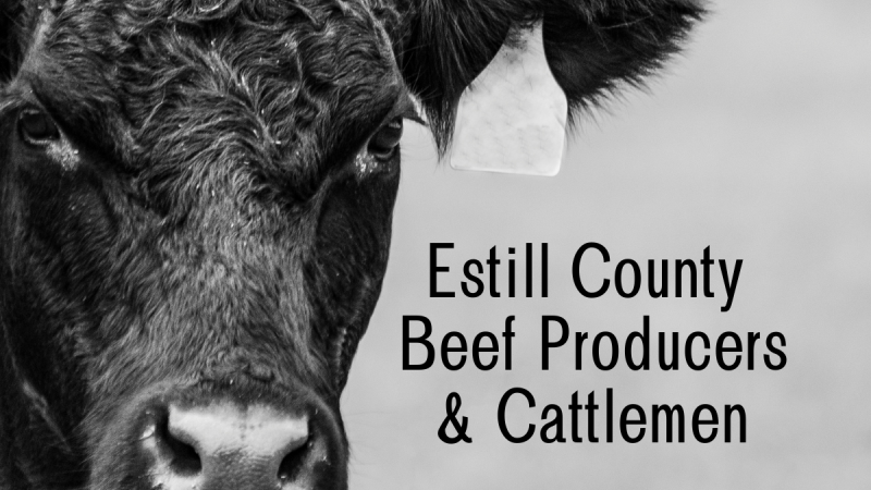 black and white image of black angus cow and the words Estill County Beef Producers & Cattlemen